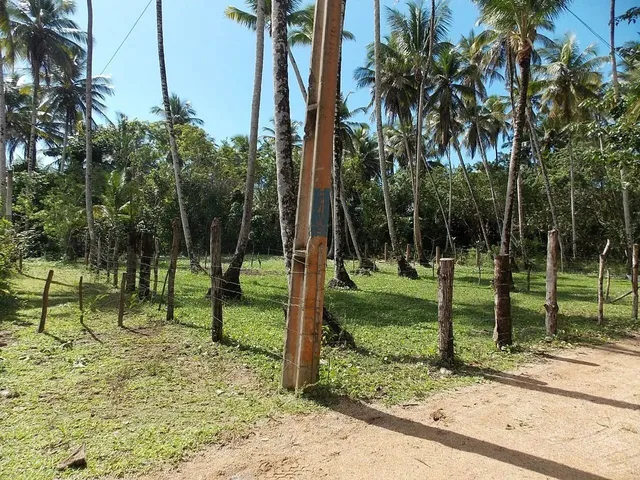 Imagem 2: Terreno em Ilha Morro de São Paulo