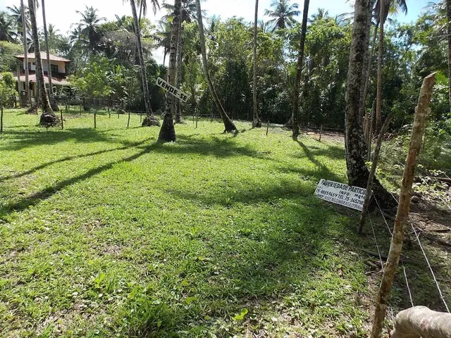 Imagem 6: Terreno em Ilha Morro de São Paulo