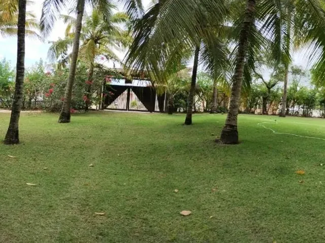 Imagem 1: Chácara À Venda em Massarandupió