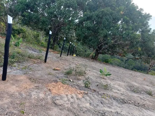 Imagem: Terreno em Subaúma, Entre Rios 17.000 M²