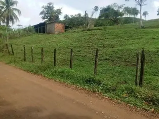 Imagem 3: Vendo Excelente Fazenda Pronta em Aratuipe