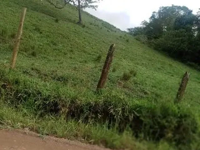 Imagem 4: Vendo Excelente Fazenda Pronta em Aratuipe