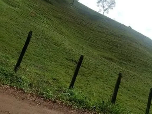 Imagem 2: Vendo Excelente Fazenda Pronta em Aratuipe
