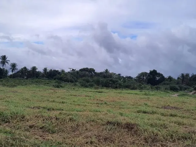 Imagem: Vendo Excelente Terreno em Conceição do