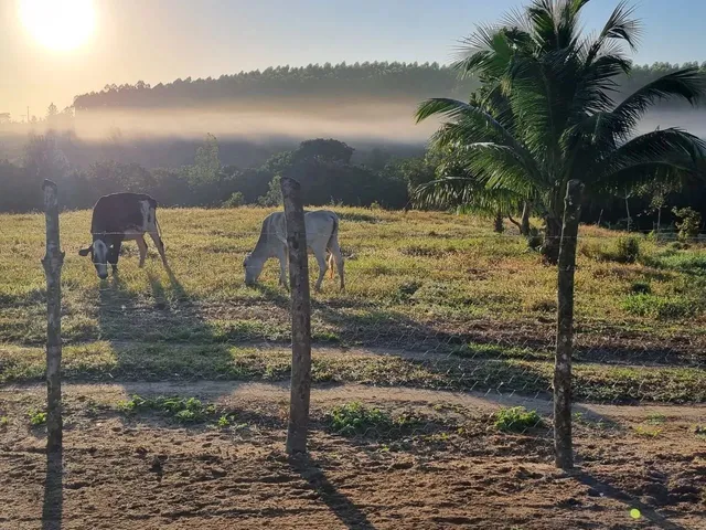 Imagem: Sítio Bino Farias