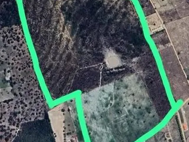 Imagem: Vende-Se Área Rural com 17 Hectares - Povoado