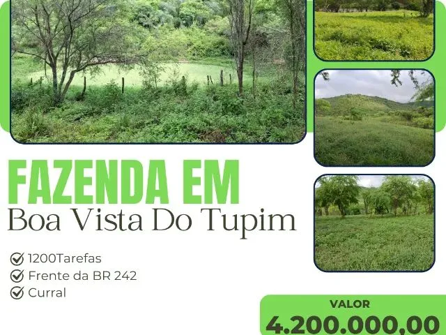 Imagem: Fazenda em Boa Vista do Tupim - 1200 Tarefas