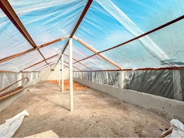 Imagem 7: Sitio de 10 Tarefas a Venda na Região da Várzea Valença Ba!