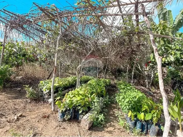 Imagem 4: Sitio de 10 Tarefas a Venda na Região da Várzea Valença Ba!