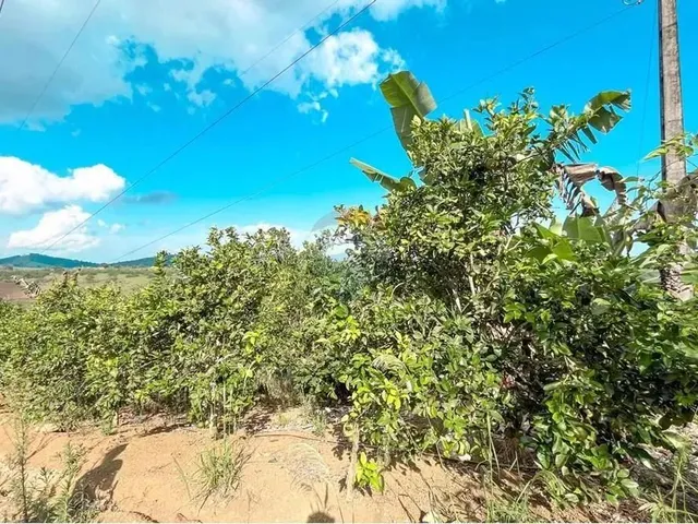 Imagem 6: Sitio de 10 Tarefas a Venda na Região da Várzea Valença Ba!