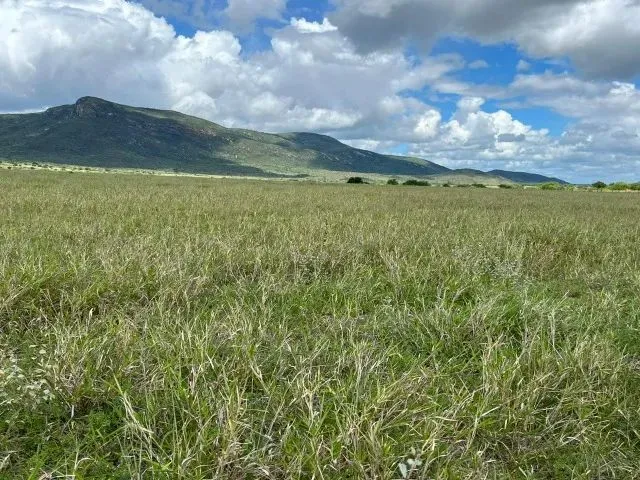 Imagem 2: Fazenda em Itaberaba - 3700 Tarefas