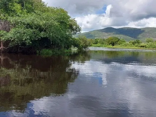 Imagem 4: Fazenda em Itaberaba - 3700 Tarefas