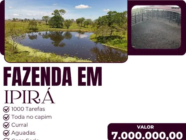 Imagem: Fazenda em Ipirá - 1000 Tarefas