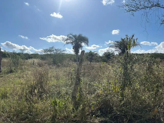 Imagem 2: Oportunidade Localização Privilegiada Zona Rural de Irará