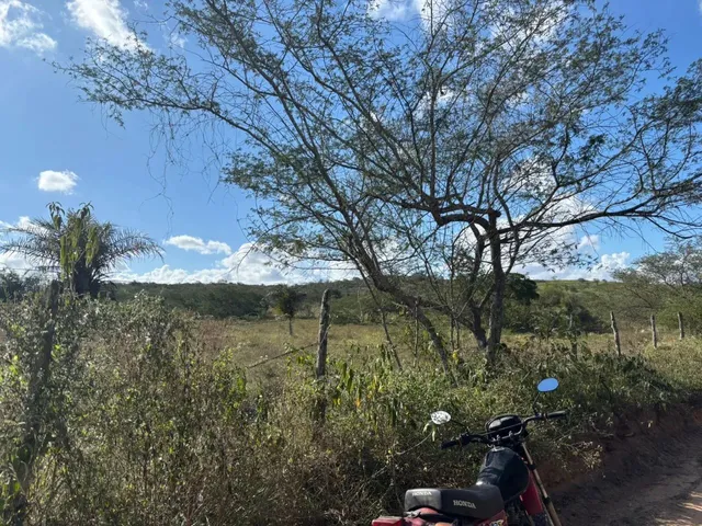 Imagem 4: Oportunidade Localização Privilegiada Zona Rural de Irará