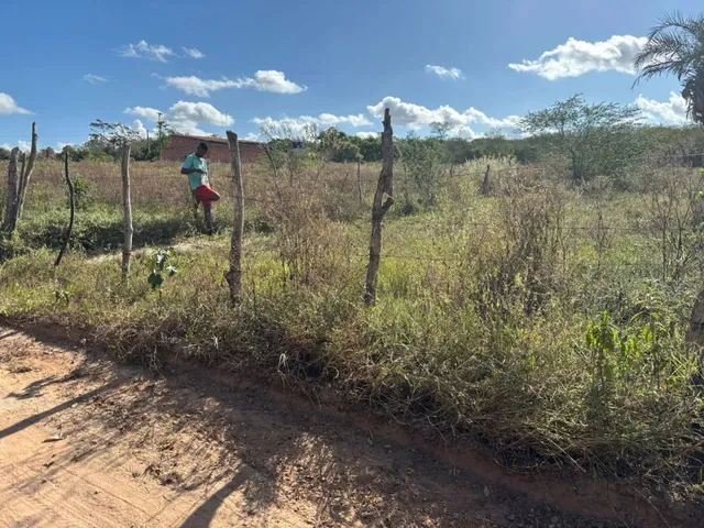 Imagem 5: Oportunidade Localização Privilegiada Zona Rural de Irará