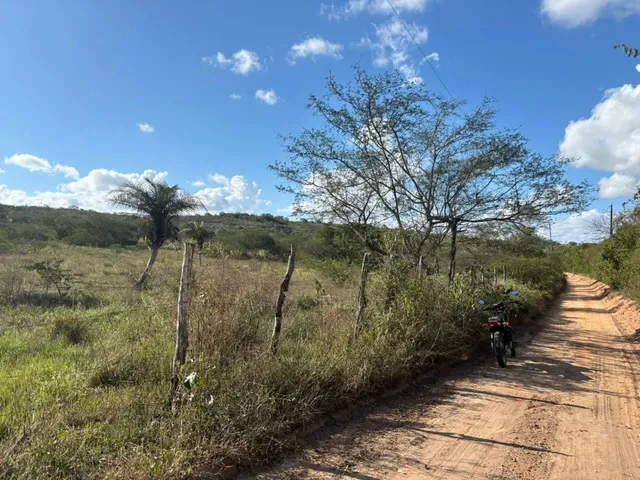 Imagem 6: Oportunidade Localização Privilegiada Zona Rural de Irará