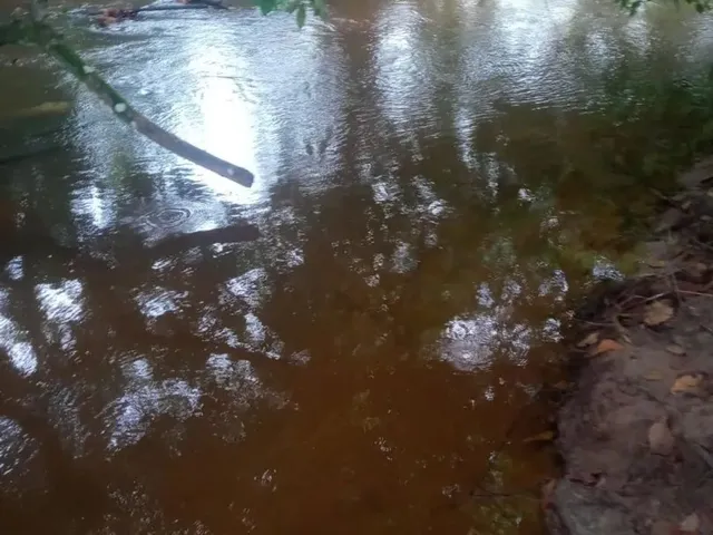 Imagem 2: Vendo Sítio em Jaguaripe Povoado Palma