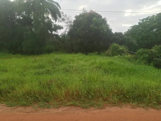 Imagem 3: Vendo Sítio em Jaguaripe Povoado Palma