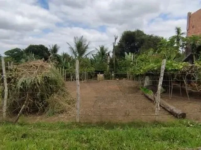 Imagem: Vendo Excelente Lote em Santo Antônio de