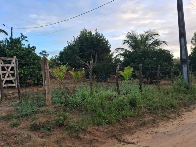 Imagem 3: Vendo Maravilhoso Sítio em Alagoinhas