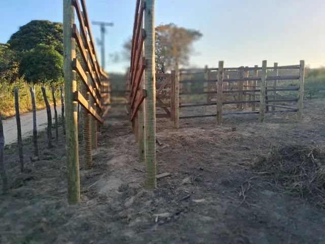 Imagem 2: Vendo Maravilhoso Sítio em Alagoinhas
