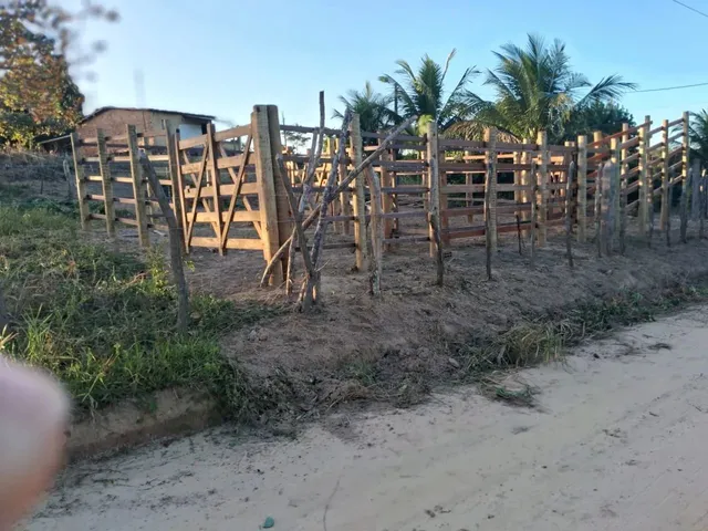Imagem 5: Vendo Maravilhoso Sítio em Alagoinhas