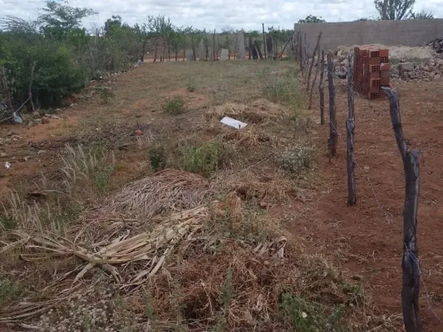 Imagem: Oportunidade de Ano Novo