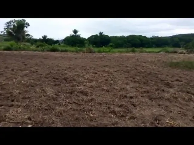 Imagem: Lote Rural Á Venda
