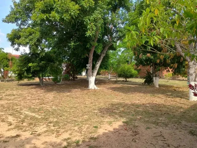Imagem 3: Vendo Sítio na Rua do Catu com 2 Casas , 2.122M2 em Alagoinhas - Ba