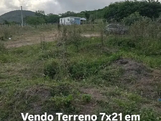 Imagem: Terreno em Ipira Bahia pra Vender Logo