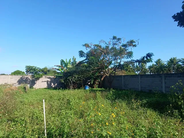 Imagem 1: Propriedade em Amélia Rodrigues