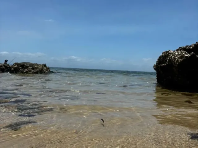 Imagem: Vendo Terreno em Área de Praia