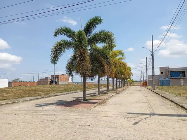 Imagem: Vende-Se Lotes Cruz das Almas -Ba