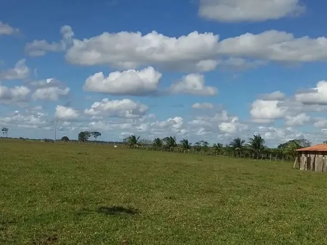 Imagem: Sítio À Venda em Entre Rios-Ba, Bairro