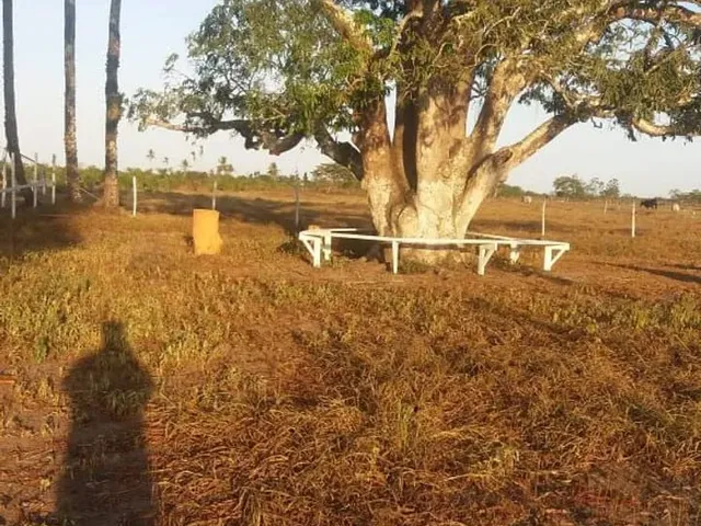Imagem: Lindos Terrenos Próximos de São Gonçalo