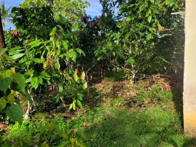 Imagem 2: Vendo Sítio em Valença Bahia
