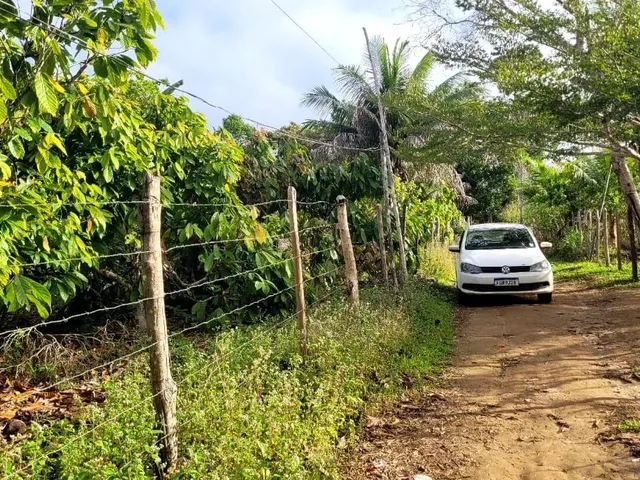 Imagem 3: Vendo Sítio em Valença Bahia