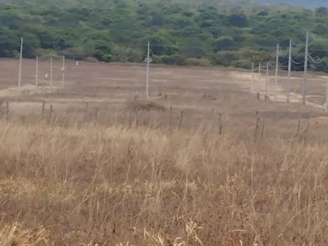 Imagem 3: Terreno na Chapada Diamantina