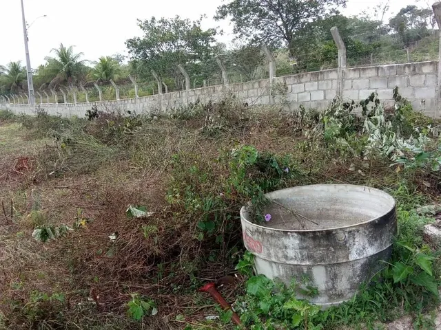 Imagem 3: Chácara Retiro Coração de Maria