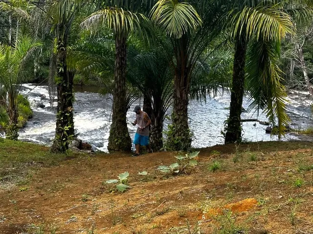 Imagem: Chácara Próxima a Boipeba - com Rio