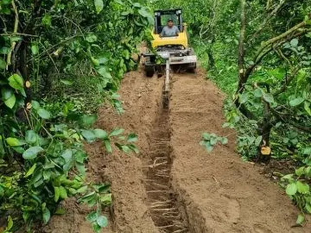 Imagem 5: Vendo Excelente Fazenda de Limao