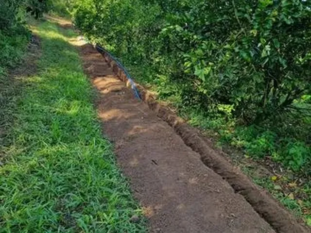 Imagem 3: Vendo Excelente Fazenda de Limao
