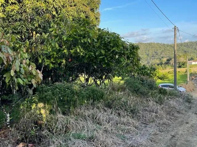 Imagem: Vendo Maraviloso Sitio em Valenca