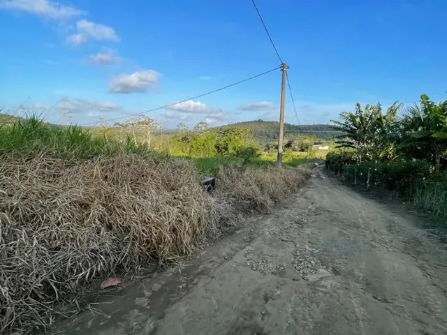 Imagem 2: Vendo Maraviloso Sitio em Valenca