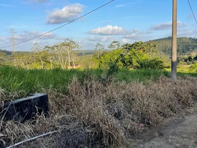 Imagem 3: Vendo Maraviloso Sitio em Valenca