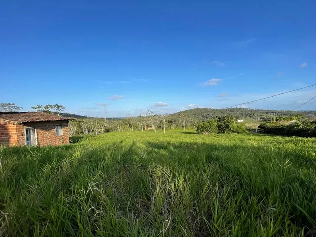 Imagem 9: Vendo Maraviloso Sitio em Valenca