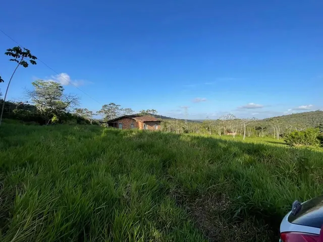 Imagem 10: Vendo Maraviloso Sitio em Valenca