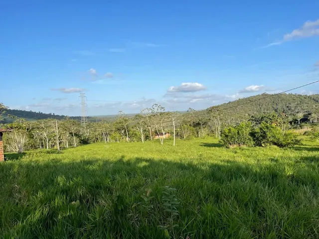 Imagem 11: Vendo Maraviloso Sitio em Valenca