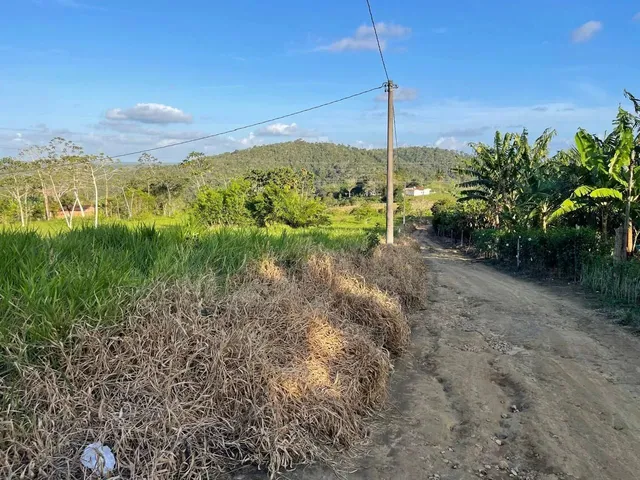 Imagem 12: Vendo Maraviloso Sitio em Valenca